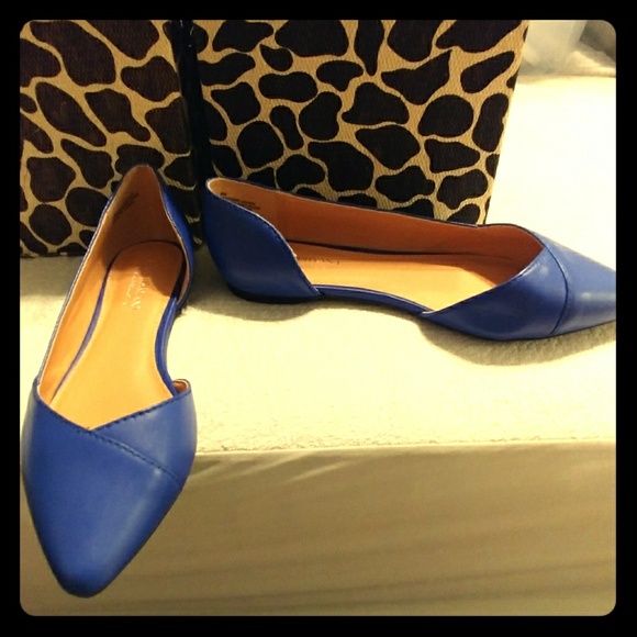 Lane Bryant Shoes - Price Reduced! Blue Leather Pointed Toe Flats